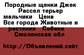 Породные щенки Джек Рассел терьер-мальчики › Цена ­ 40 000 - Все города Животные и растения » Собаки   . Смоленская обл.
